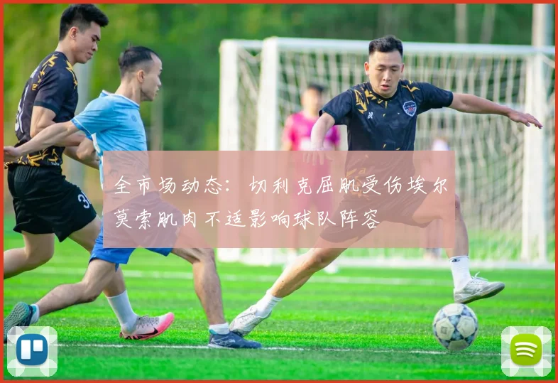 全市场动态：切利克屈肌受伤埃尔莫索肌肉不适影响球队阵容